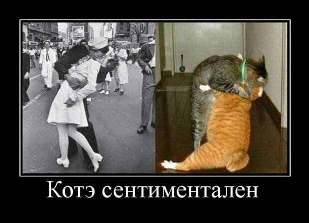 Демотиваторы (26 фото)