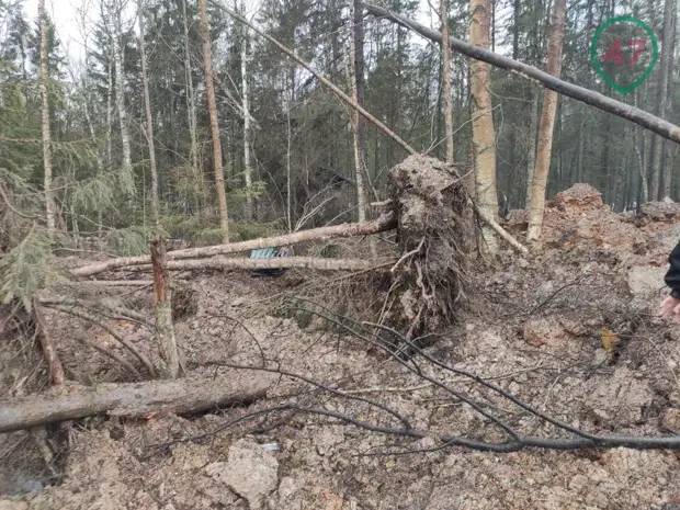 Появились фотографии с места падения под Лугой военного истребителя МиГ-31