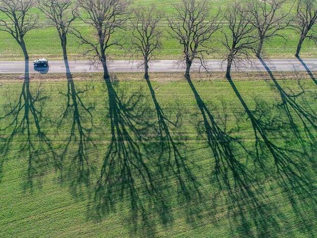 Длинные тени вдоль проселочной дороги в Зиверсдорфе, Германия, 9 апреля 2018 года в мире, кадр, красота, с высоты, фото, фотография