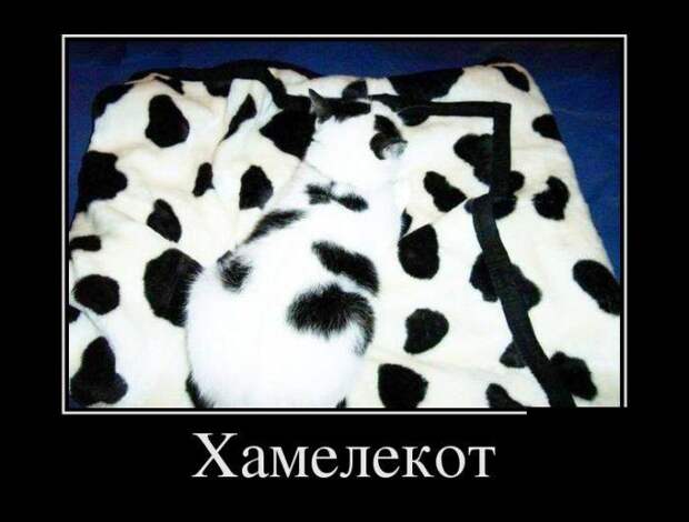 Свежие демотиваторы - Ура, пятница!
