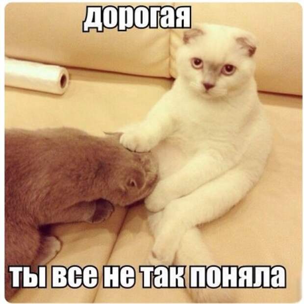 Клуб любителей юмора.