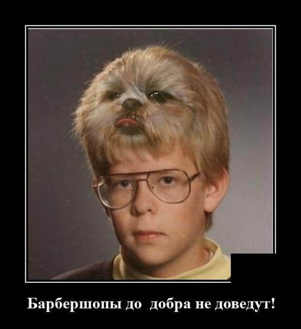 demotivatory-demotivator-smeshnye-demotivatory-demotivator-so-smyslom