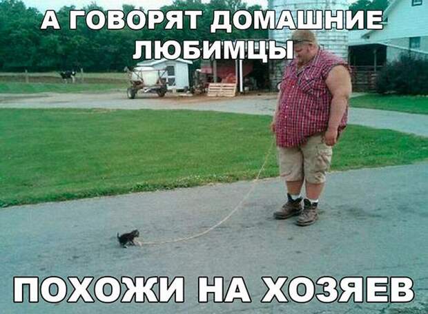 Веселые и жизненные картинки с надписями со смыслом (12 фото) Веселые и жизненные картинки с надписями со смыслом (12 фото)