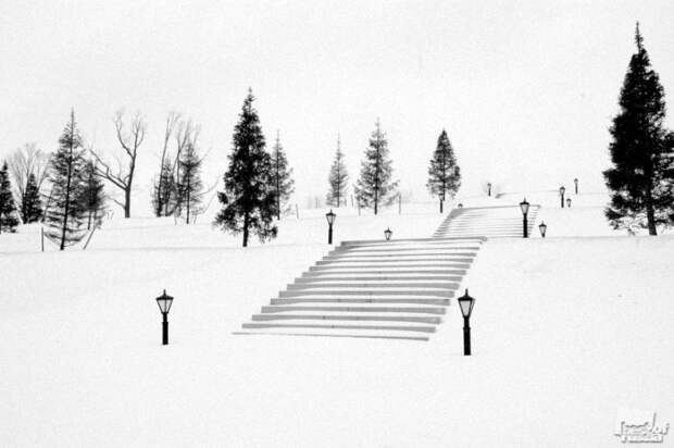 Лучшие фотографии России 2011. Номинация Природа