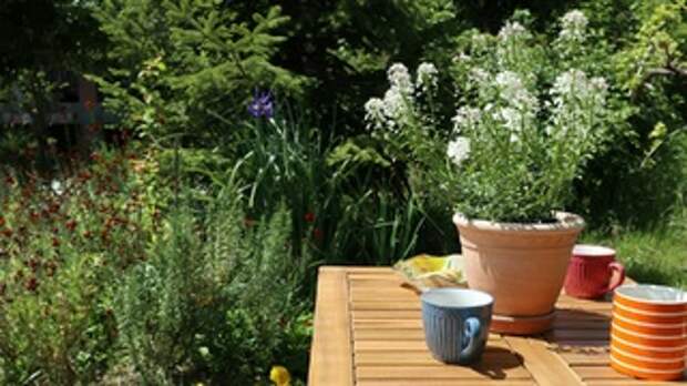 Фото: Kiriakos Verros / unsplash.com