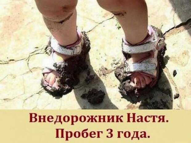 1.  авто, автоприколы, приколы