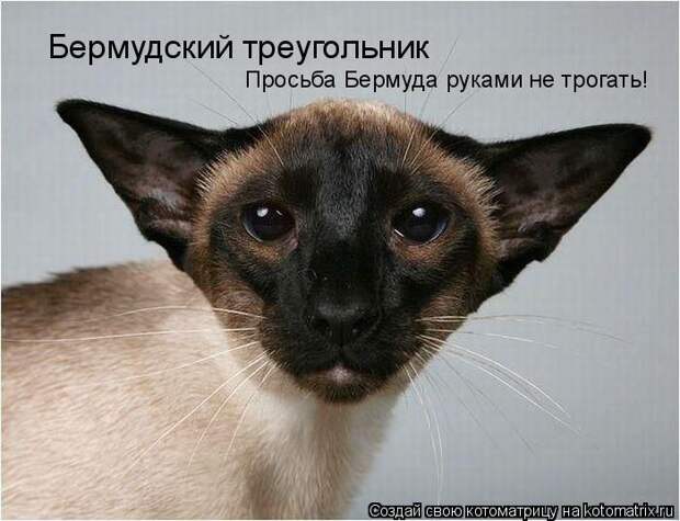 Мысли вслух :)