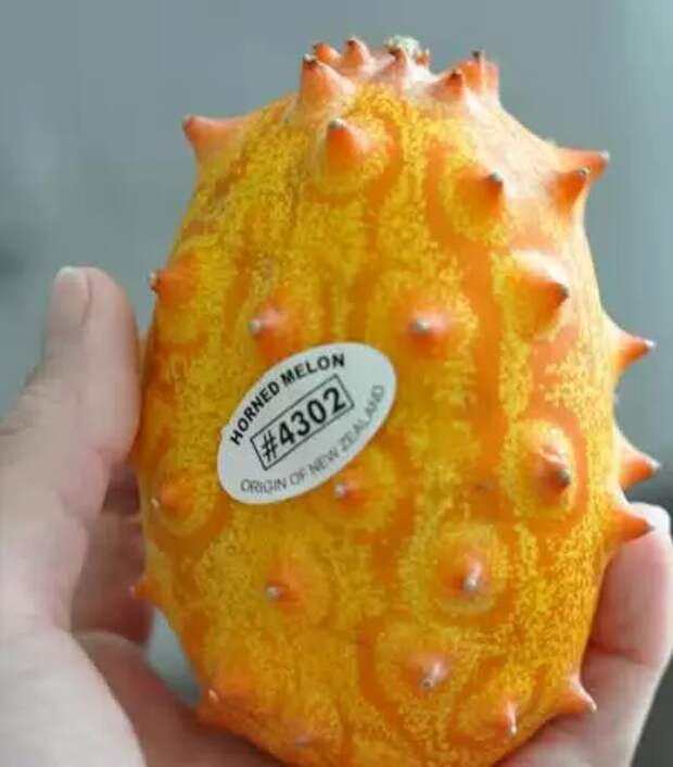 Оранжевый колючий фрукт. Колючий желтый фрукт. Кивано. Кивано внутри. Фрукт кивано косточки.