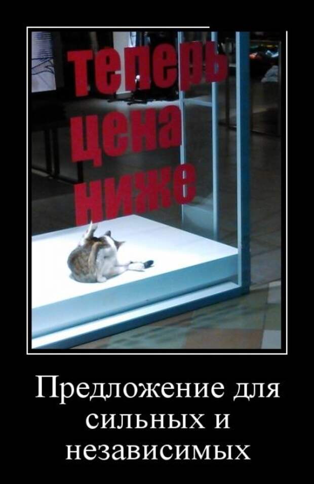 Веселые и забавные демотиваторы для хорошего настроения (11 фото) Веселые и забавные демотиваторы для хорошего настроения (11 фото)