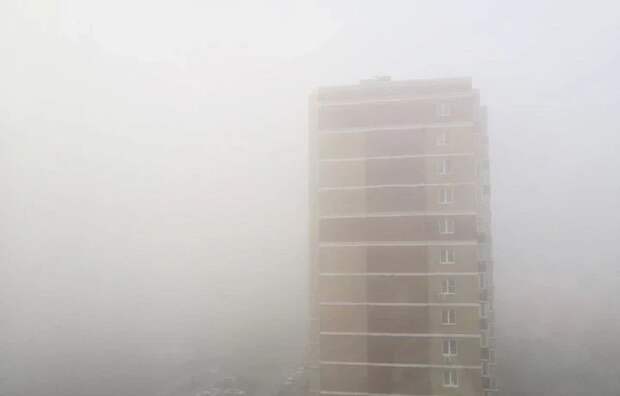 В Тульской области ночью и утром 28 марта ожидается сильный туман