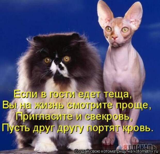 1359321433_96696243_large_4 (570x551, 79Kb)
