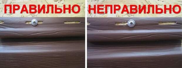 Источник изображения: Яндекс Картинки