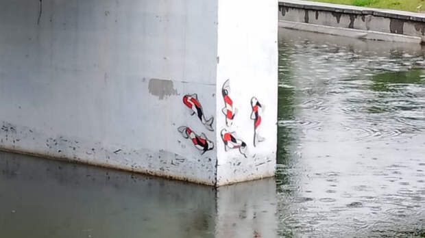 В барнаульском парке "Изумрудный" поселились моизачные рыбки. Фото