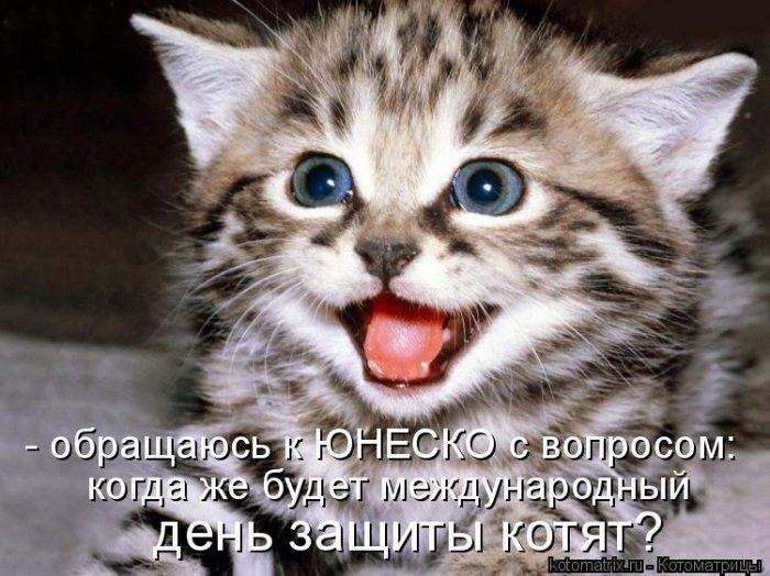 Мысли вслух :)