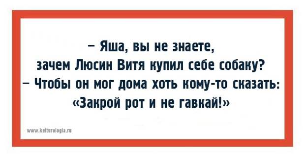 Одесские хохмы для поднятия настроения Одесские хохмы для поднятия настроения