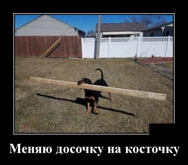 www.vsyako.net