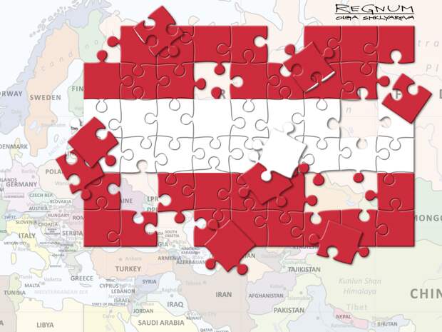 В Австрии потребовали отставки главы МИД из-за финансовой помощи Украине
