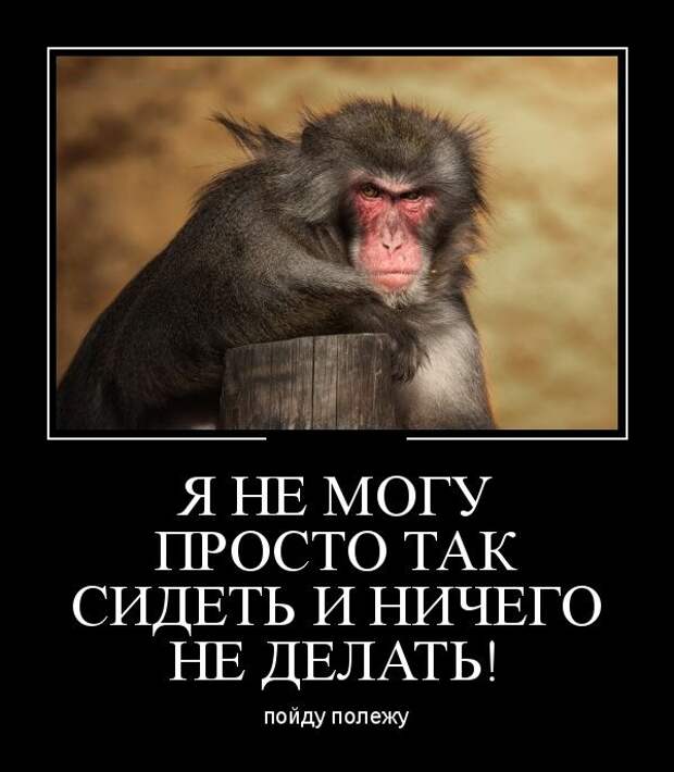 ПОДБОРКА ПРИКОЛЬНЫХ ДЕМОТИВАТОРОВ №616