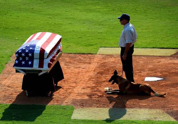 Военные похороны в США