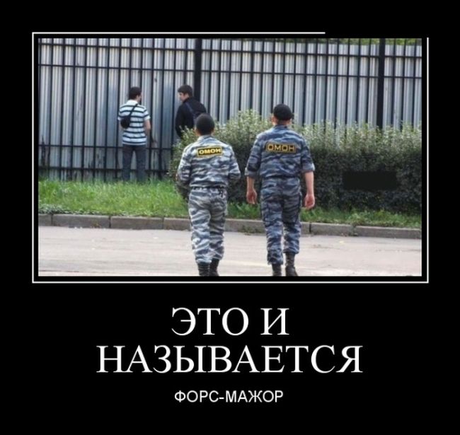 Демотиваторы (30 фото)