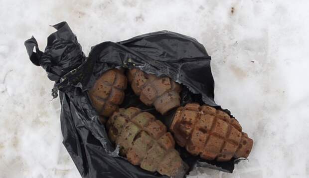 Муляж гранаты напугал жителей российского поселка