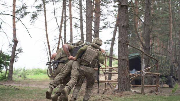 ТАСС: «деревья правды» стали самым распространённым способом наказания в ВСУ