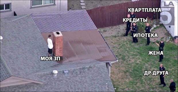 Фотоподборка