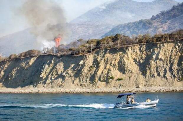 После пожара директор заповедника «Утриш» в Анапе пойдет по уголовной статье