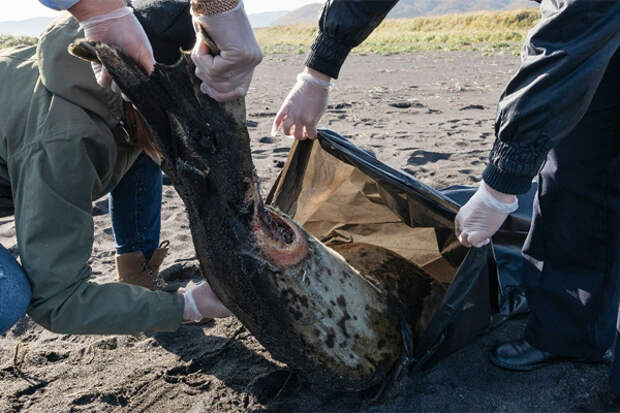 Загрязнение воды Камчатка