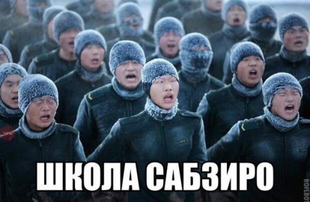 Забавные фотомемы (23 шт)