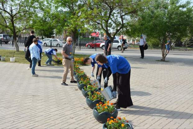 Астраханцы высадили тысячу цветов в память о жертвах теракта в «Крокусе»