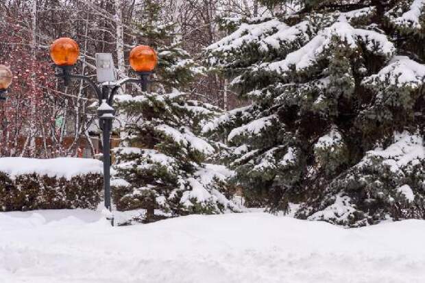 В Тамбов после обильных снегопадов пришли 30-градусные морозы