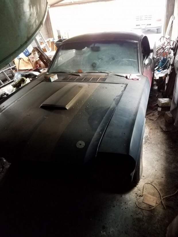 Из проката в забытье: уникальный Mustang нашли в сарае barn find, ford, ford mustang, mustang, авто, автомобили, находка, олдтаймер