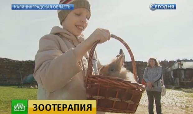 В Калининграде кролики и поросята помогают больным детям