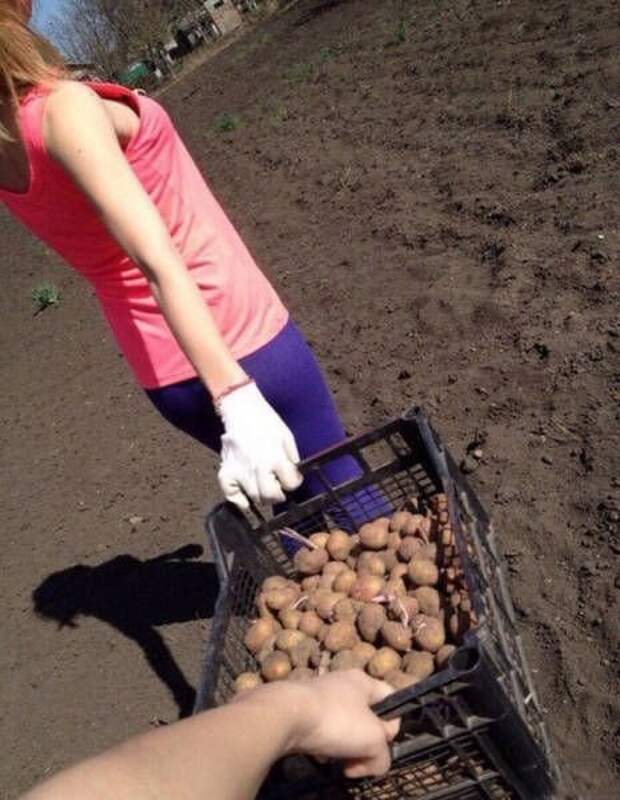 Весёлые пародии на фотопроект "Следуй за мной" (15 фото)