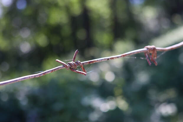 Фото: © Petrov Sergey/ news.ru/ Global Look Press
