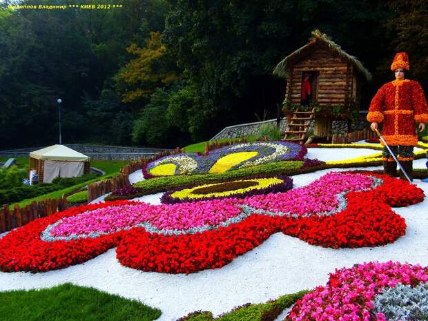 Выставка цветов 2012 в Киеве.
