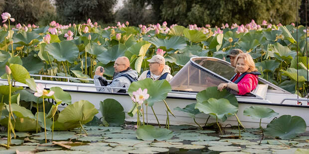Астрахань — не только рыбалка: создатель бутик-отеля в дельте Волги ломает стереотип