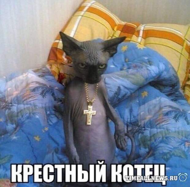 Прикольные картинки (88 фото) Прикольные картинки (88 фото)