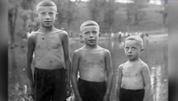 Молекула памяти: Воспоминания о послевоенном Харькове