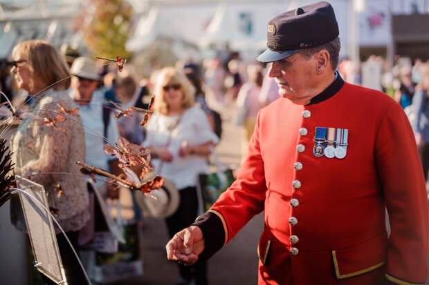 Цветочная выставка садов и цветов Chelsea Flower Show 2021