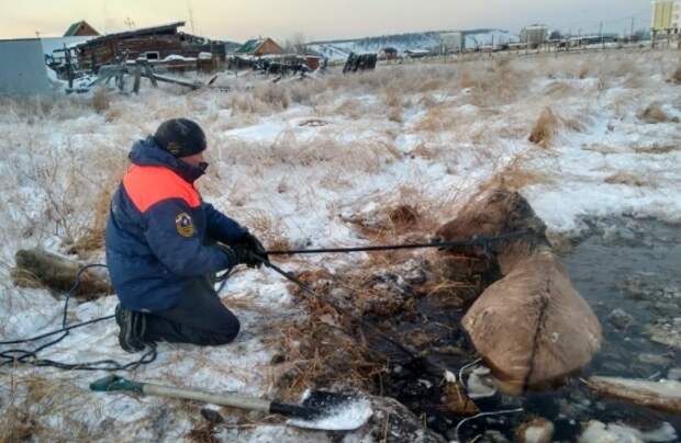 Люди спасли вмерзших в лед лошадь и жеребенка