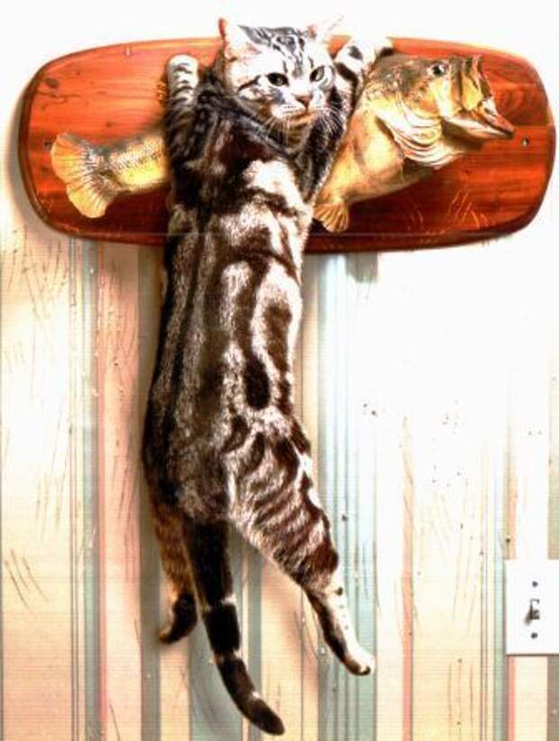 Давайте улыбаться вместе! :) (31повод)