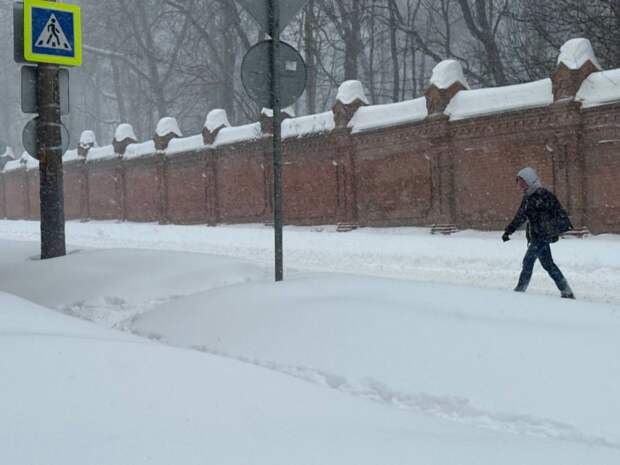 Снегопад в Туле 19 февраля заставил жителей массово перейти на удалёнку