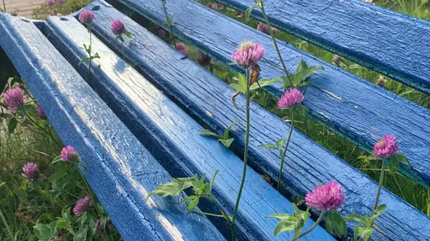 В парках Магнитогорска борются с клещами