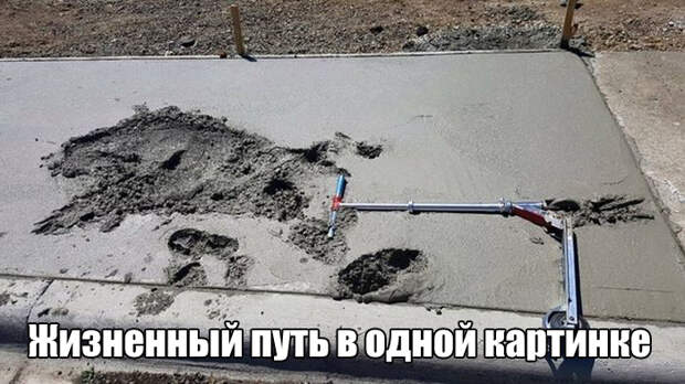 Прикольные картинки. Вечерний выпуск (50 фото)