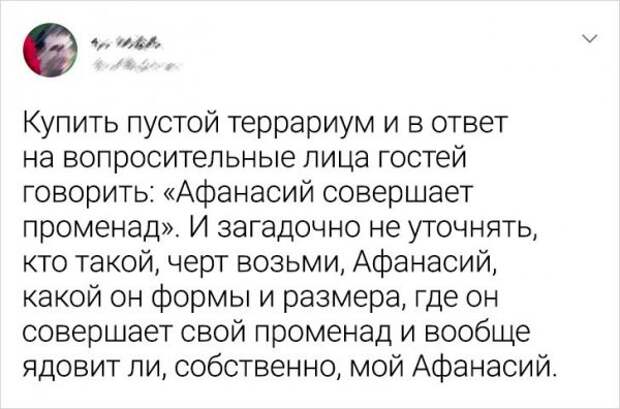 твит про террариум