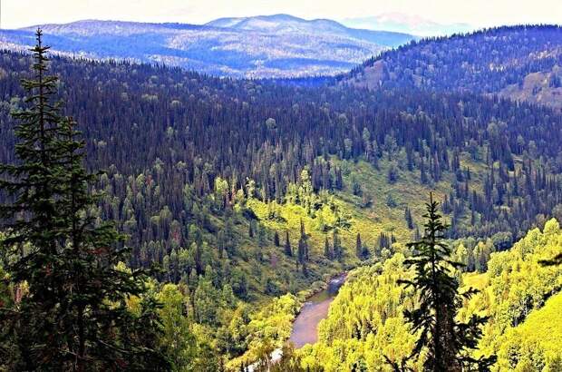 Взято из открытых источников