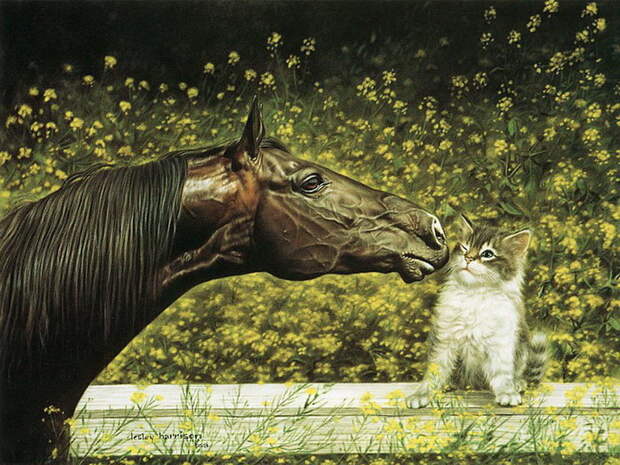 Животные в картинах Lesley Harrison