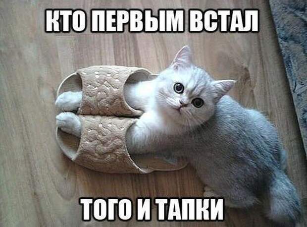 Похожее изображение